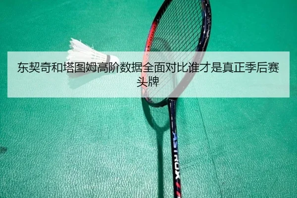 东契奇和塔图姆高阶数据全面对比谁才是真正季后赛头牌