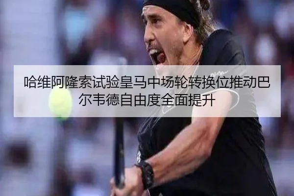 ha-wei-a-long-suo-shi-yan-huang-ma-zhong-chang-lun-zhuan-huan-wei-tui-dong-ba-er-wei-de-zi-you-du-quan-mian-ti-sheng-2-690.jpg